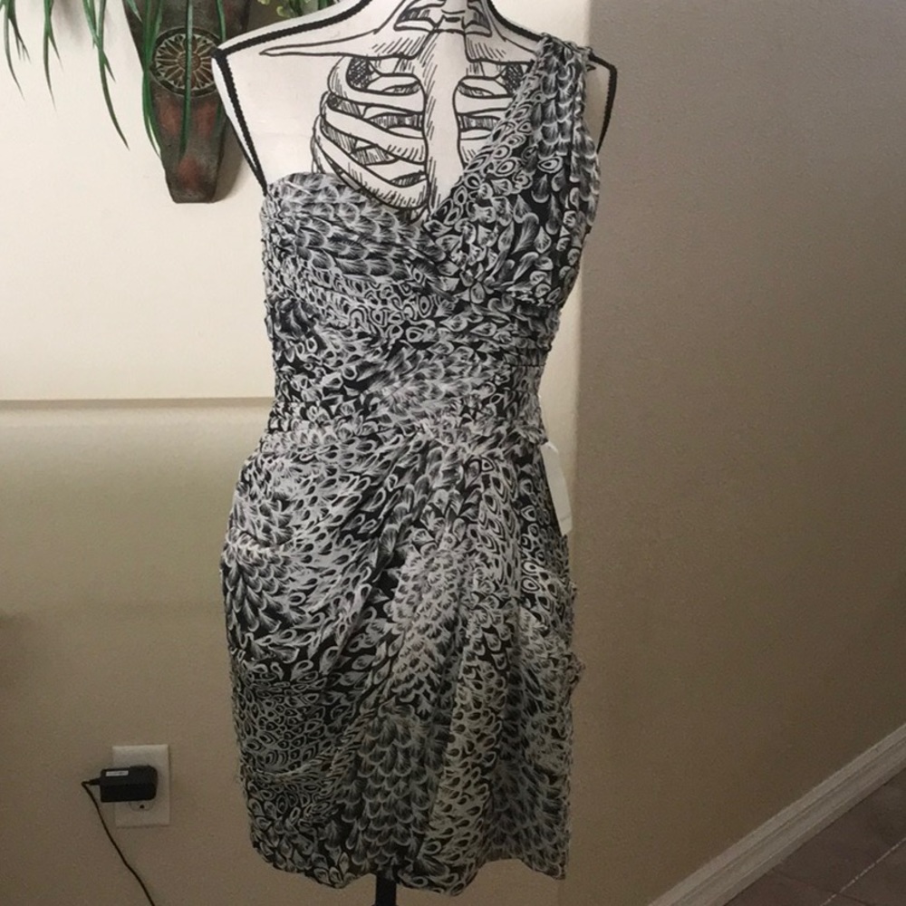 Beautiful Maxandcleo  Dress